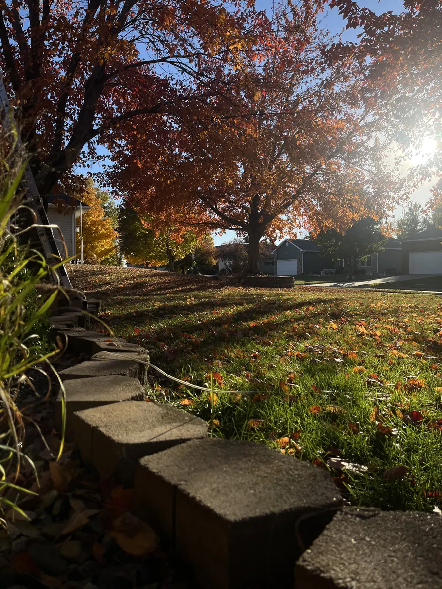 Garden Renewal — after